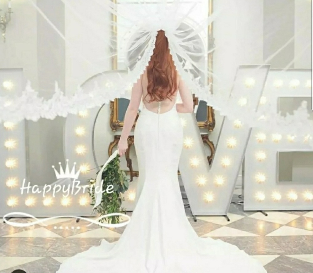 Stunning Lace Edge Cathedral Veil